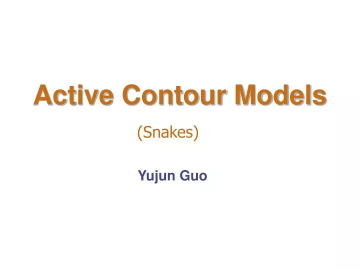 active contour models n.