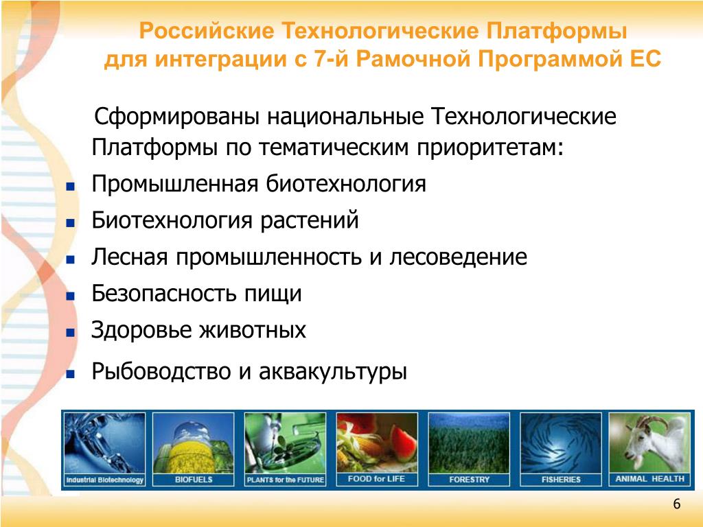 Национальные технологические платформы. Российские технологические платформы. Приоритетная Промышленная продукция.