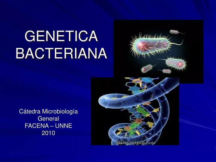 genetica bacteriana n.