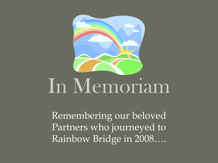 in memoriam powerpoint template