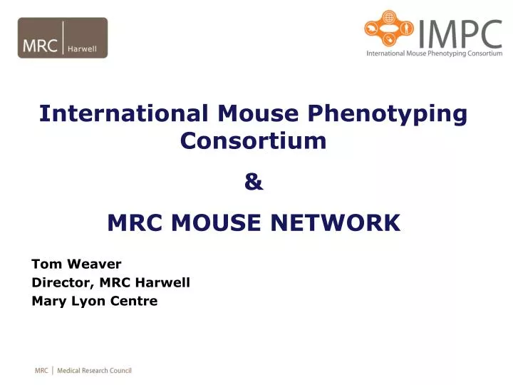 PPT - International Mouse Phenotyping Consortium & MRC MOUSE NETWORK ...