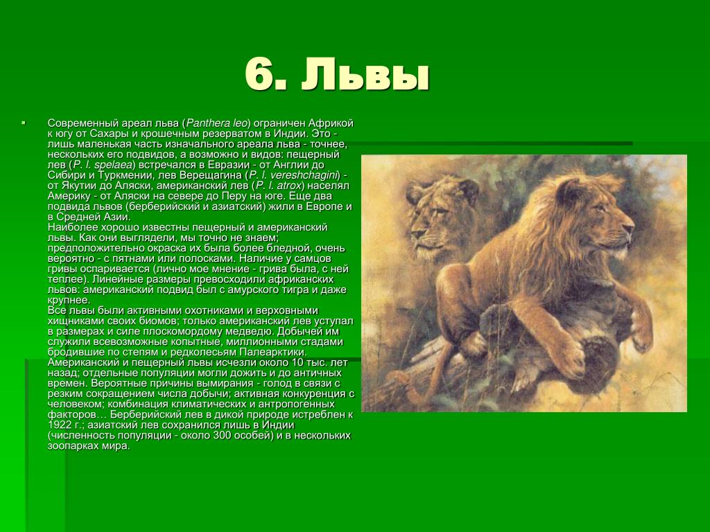 Точный лев. Ареал Львов в древности. Львы современный ареал обитания. Вымершие львы. Берберийский Лев ареал.