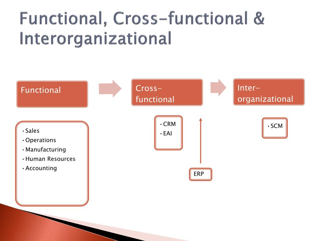 cross functional information system