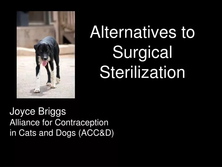 alternatives to surgical sterilization n.