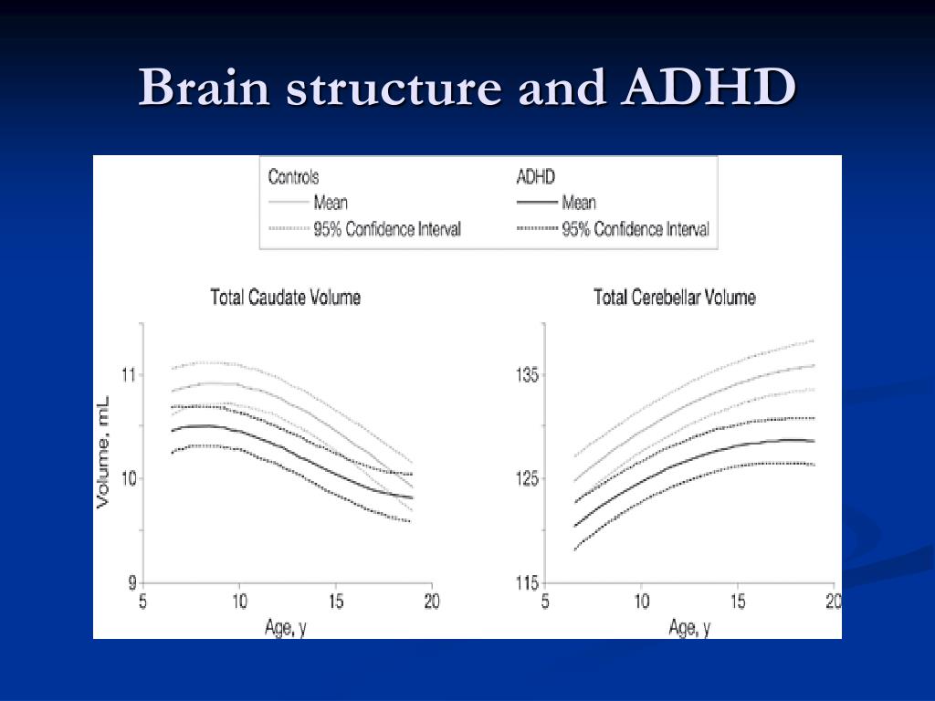 PPT - Scientific Update of ADHD PowerPoint Presentation, free download ...