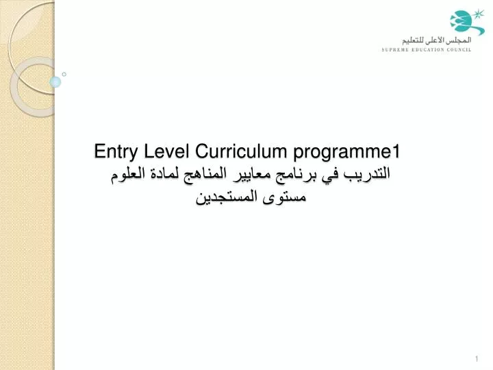 entry level curriculum programme1 n.