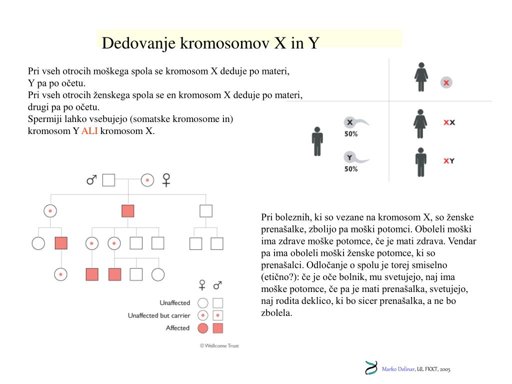 PPT - Sklop M PowerPoint Presentation, free download - ID:1128742