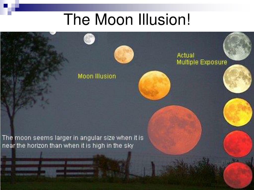 Находящаяся низко над горизонтом луна кажется сильно. Оптическая иллюзия Луна. Иллюзия большой Луны. Луна над горизонтом иллюзия. Эффект большой Луны над горизонтом.