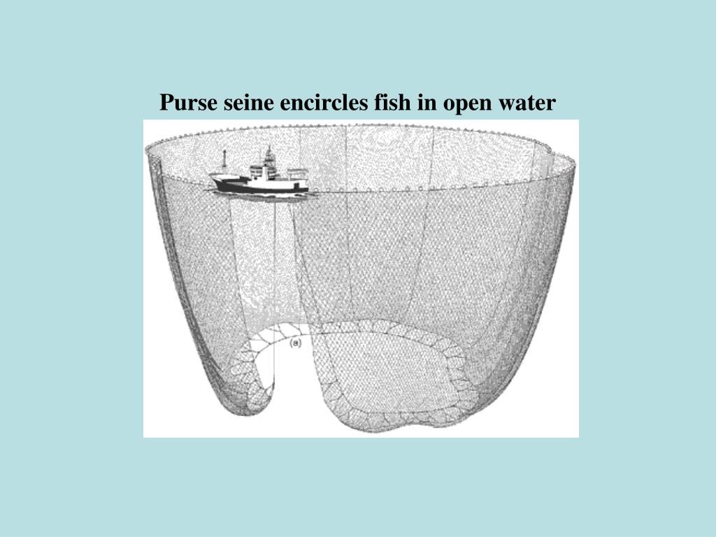 Surrounding Net PPT - Active Capture Gear • Human or mechanical action moves gear to ...