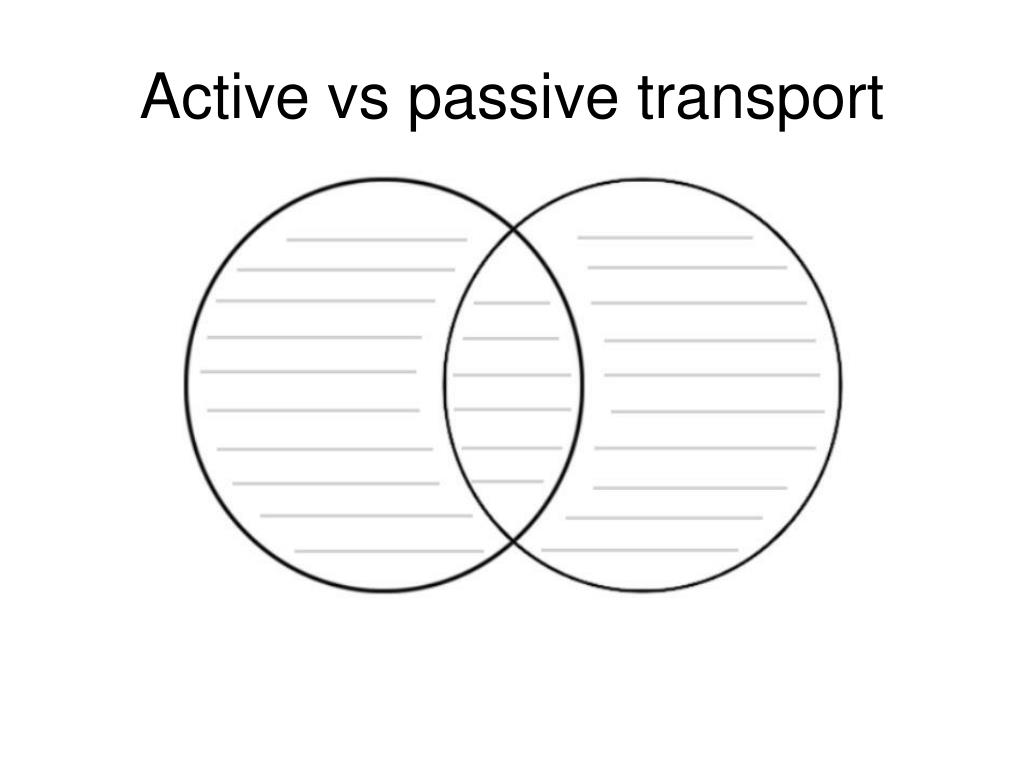 Venn diagram of active and passive transport