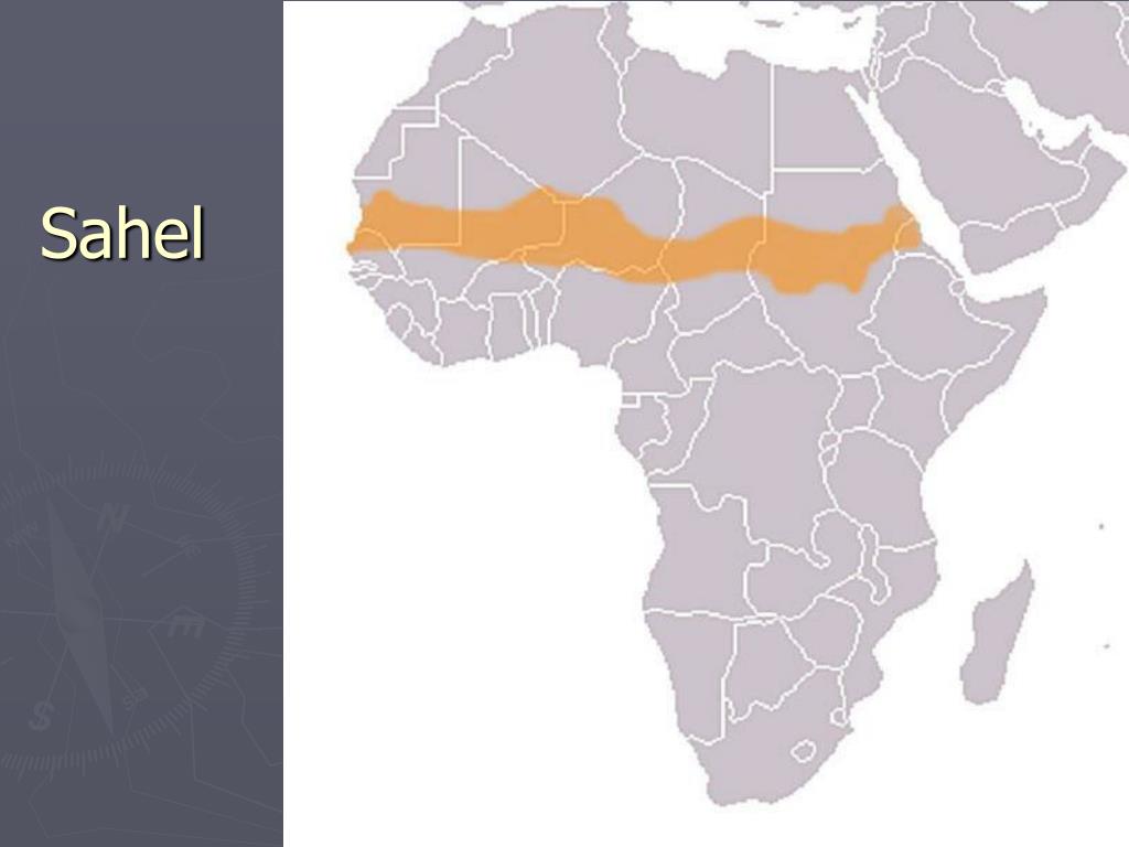 PPT - Life in the Sahara and the Sahel: Adapting to a Desert Region 