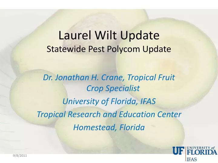 laurel wilt update statewide pest polycom update n.