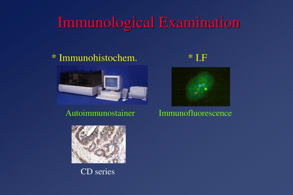 basic immunology abbas and lichtman