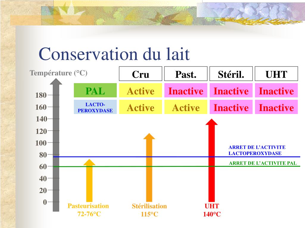 PPT - CONTRÔLE DE LA PASTEURISATION DU LAIT PowerPoint Presentation, free  download - ID:1133644