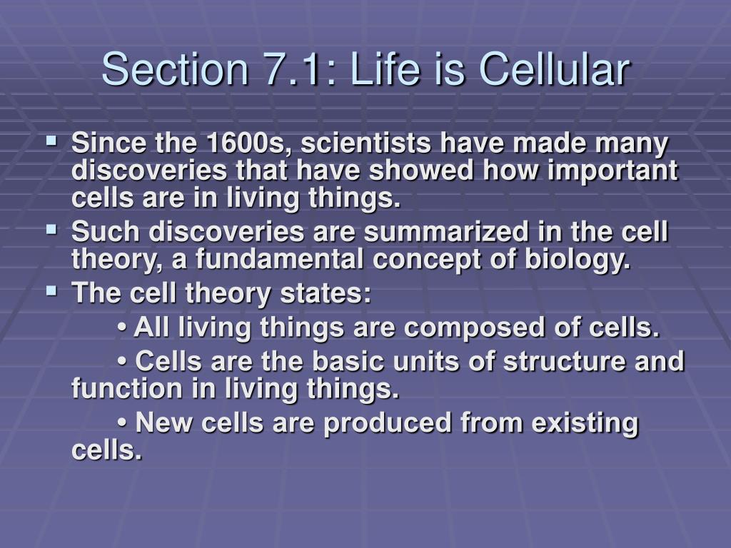 cell structure download cell structure download