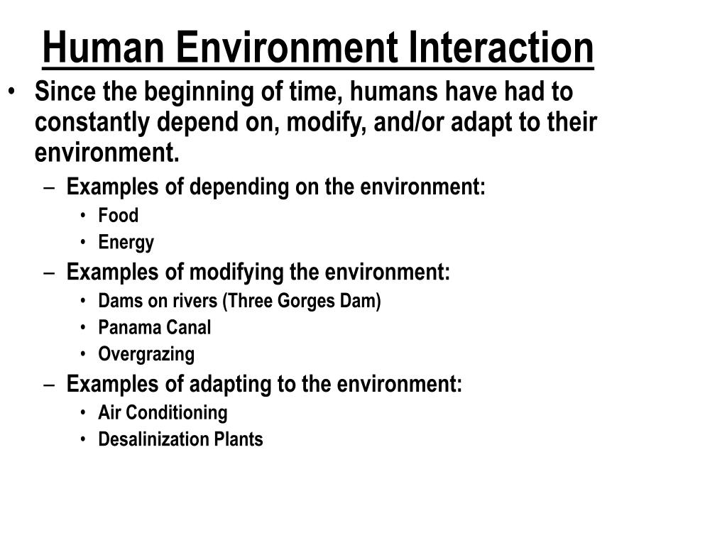 human environment interaction essay