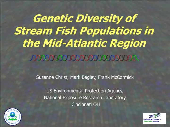 genetic diversity of stream fish populations in the mid atlantic region n.