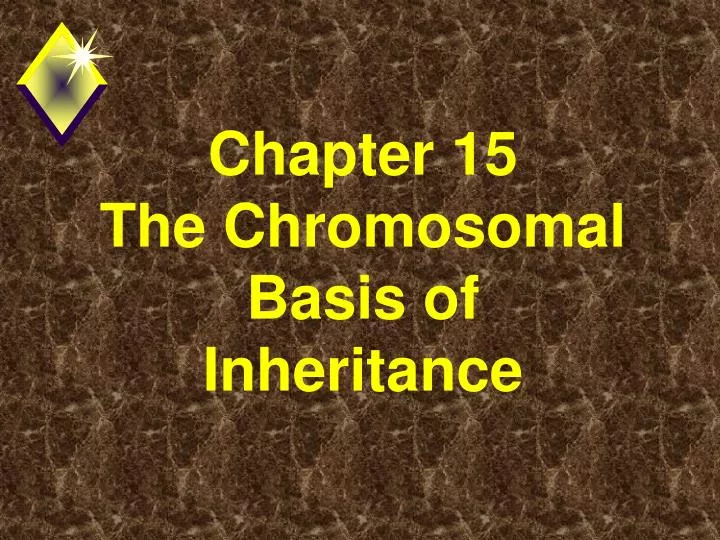 chapter 15 the chromosomal basis of inheritance n.