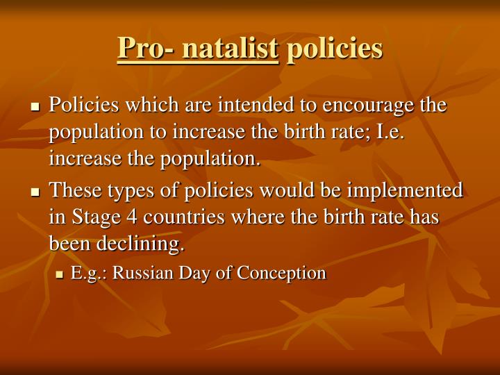 pro natalist population policy