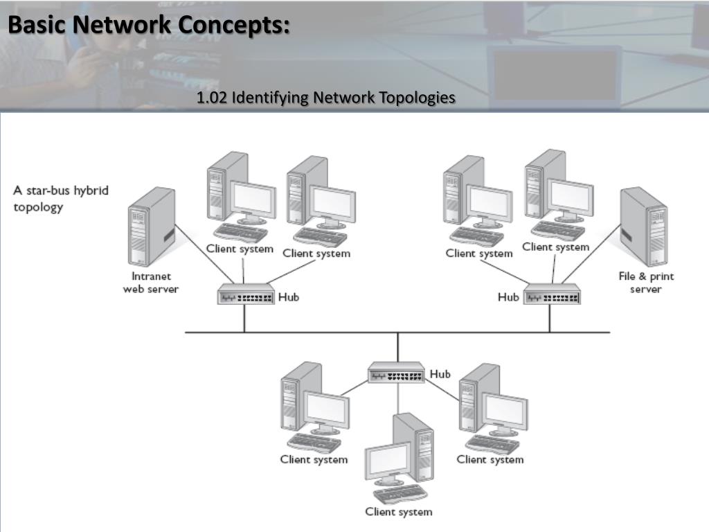 Ppt basic network concepts powerpoint presentation free download