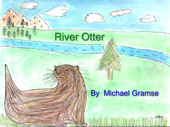 river otter n.
