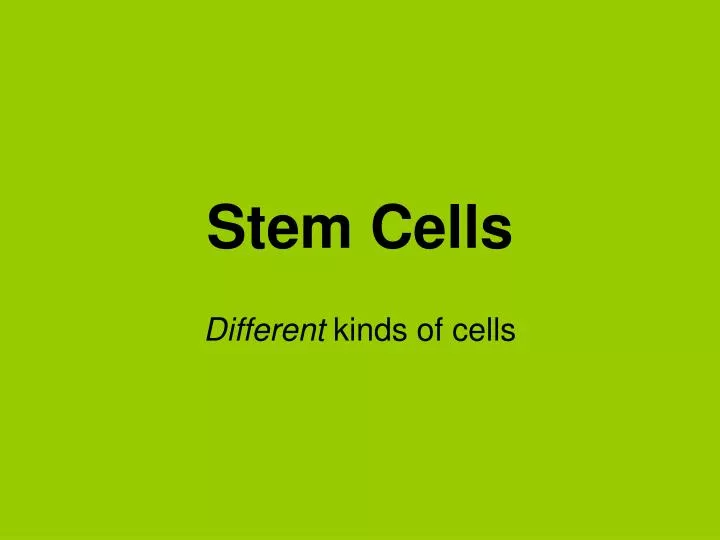 stem cells n.