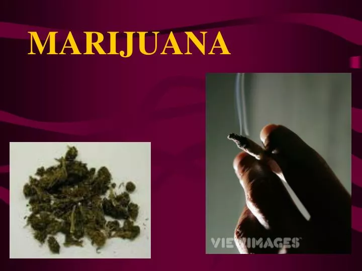 a description of marijuana as a green brown or gray mixture Aren't there different kinds a: marijuana is a green, brown, or gray mixture of dried, shredded leaves, stems, seeds marijuana: medlineplus marijuana contains. a description of marijuana as a green brown or gray mixture Aren't there different kinds a: marijuana is a green, brown, or gray mixture of dried, shredded leaves, stems, seeds marijuana: medlineplus marijuana contains.