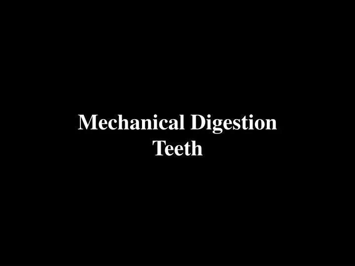 mechanical digestion teeth n.