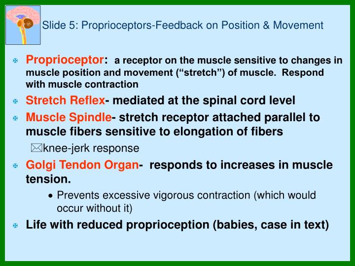 Ppt Py460 Biological Bases Of Behavior Powerpoint Presentation Id1142050 7955