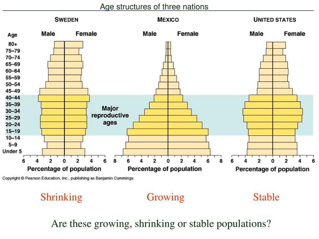 PPT - Populations PowerPoint Presentation, free download - ID:1143908