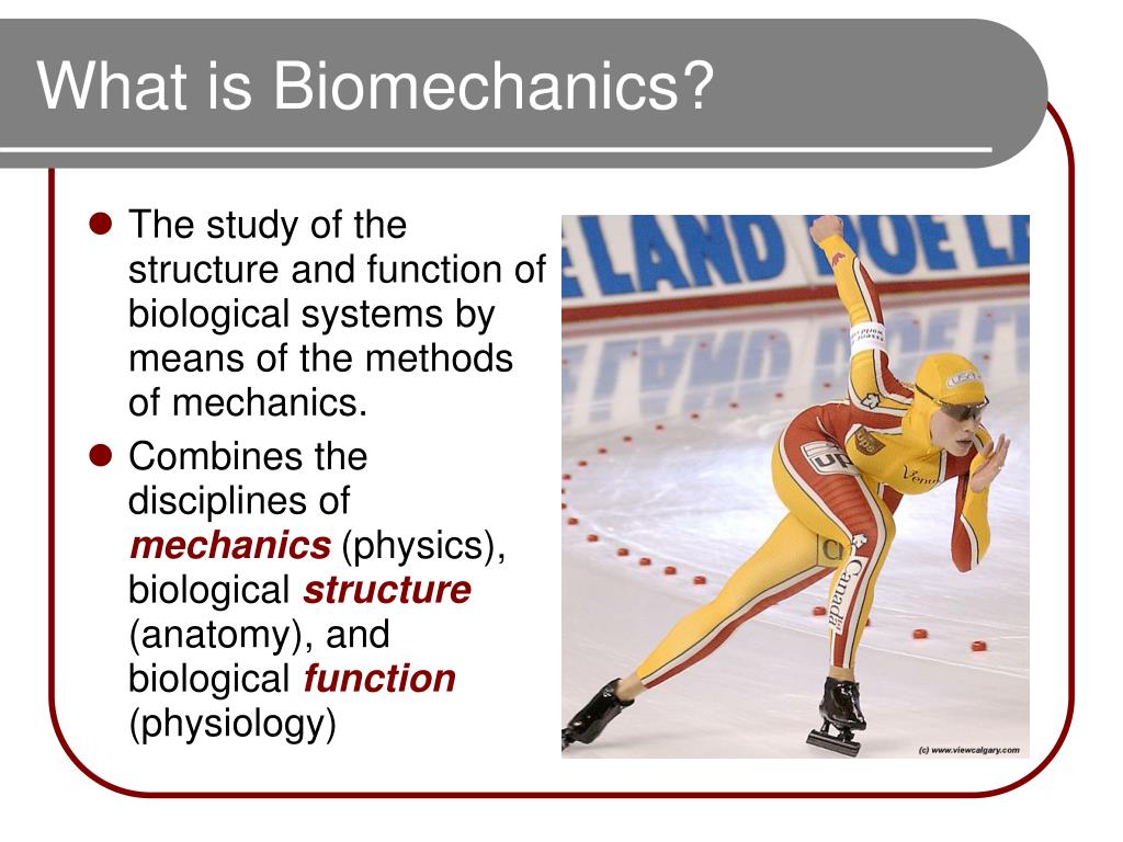 PPT - ESS 303 – Biomechanics PowerPoint Presentation, Free Download ...