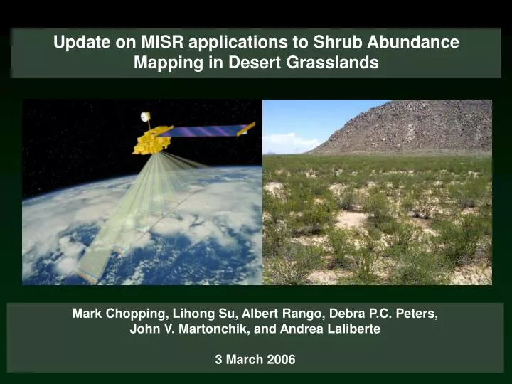 update on misr applications to shrub abundance mapping in desert grasslands n.