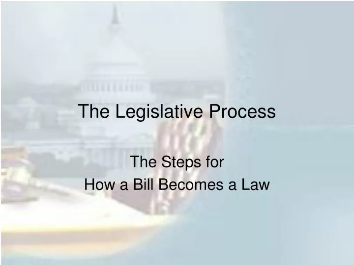 legislative process essay