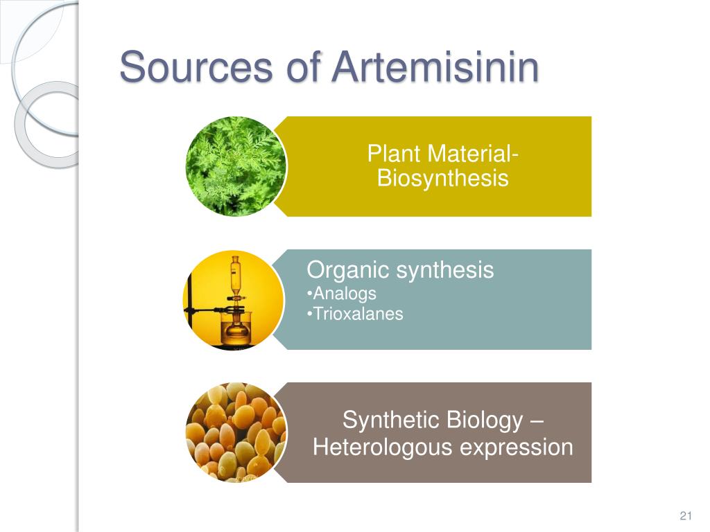 Артемизинин при осложненном течении малярии назначается. Артемизинин.