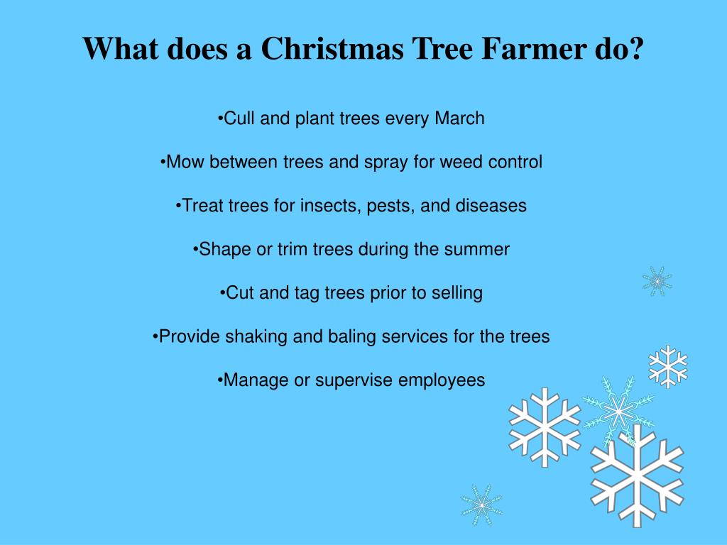PPT Agricultural Careers Christmas Tree Farmer PowerPoint
