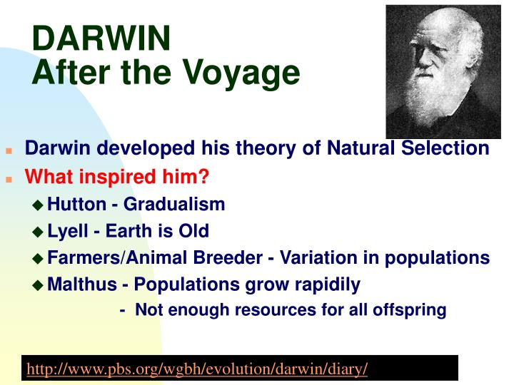 natural selection spurs evolution in relation to darwins theories 5 principles of natural selectionpptx 5 principles of natural selection principle example variations i can identify the 5 points of darwin’s theory of evolution. natural selection spurs evolution in relation to darwins theories 5 principles of natural selectionpptx 5 principles of natural selection principle example variations i can identify the 5 points of darwin’s theory of evolution.