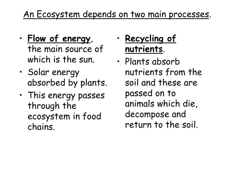 PPT Plant Succession and Climax Vegetation PowerPoint Presentation