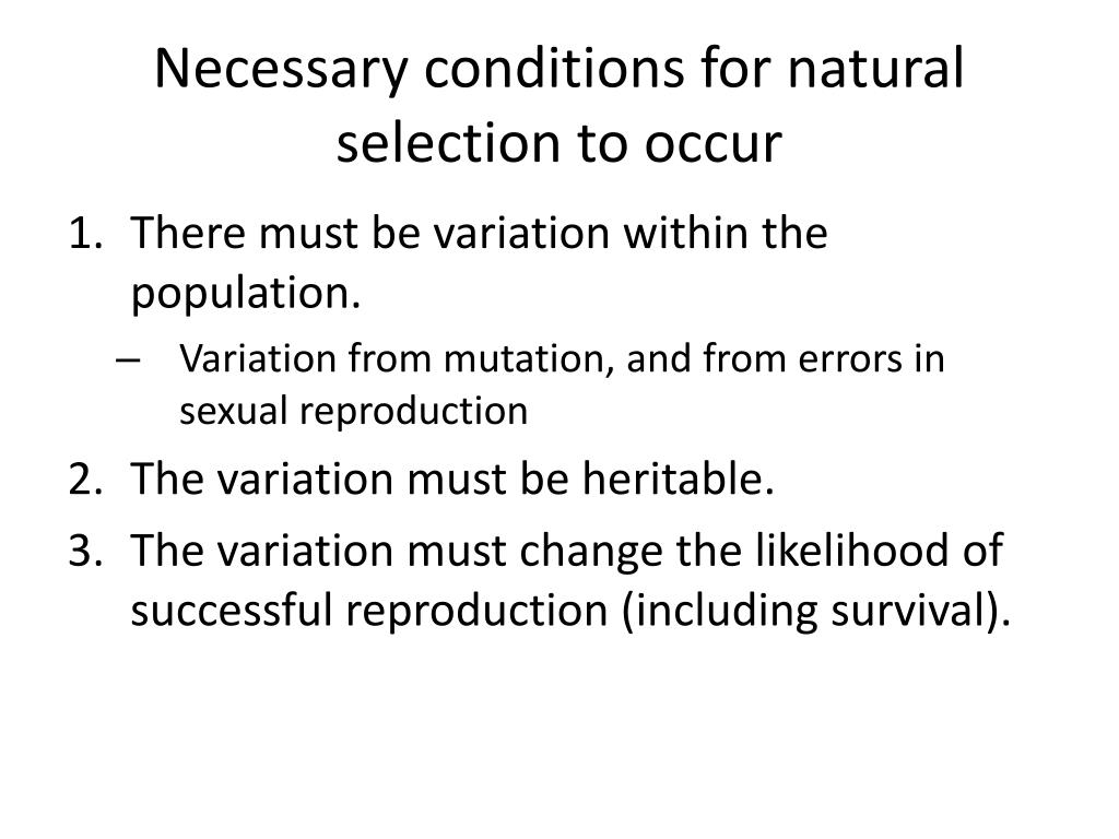 PPT Natural Selection v Evolution PowerPoint Presentation, free download ID1149509