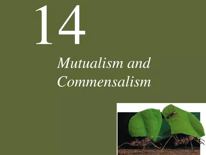 mutualism and commensalism n.