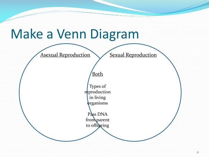 make venn diagram ppt asexual vs sexual reproduction powerpoint make venn diagram ppt asexual vs sexual reproduction powerpoint