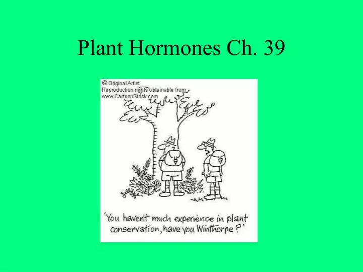 plant hormones ch 39 n.