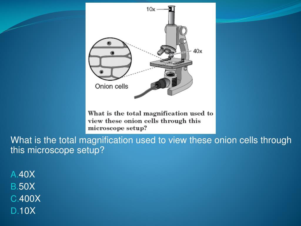 What is the Total Magnification of 40X 