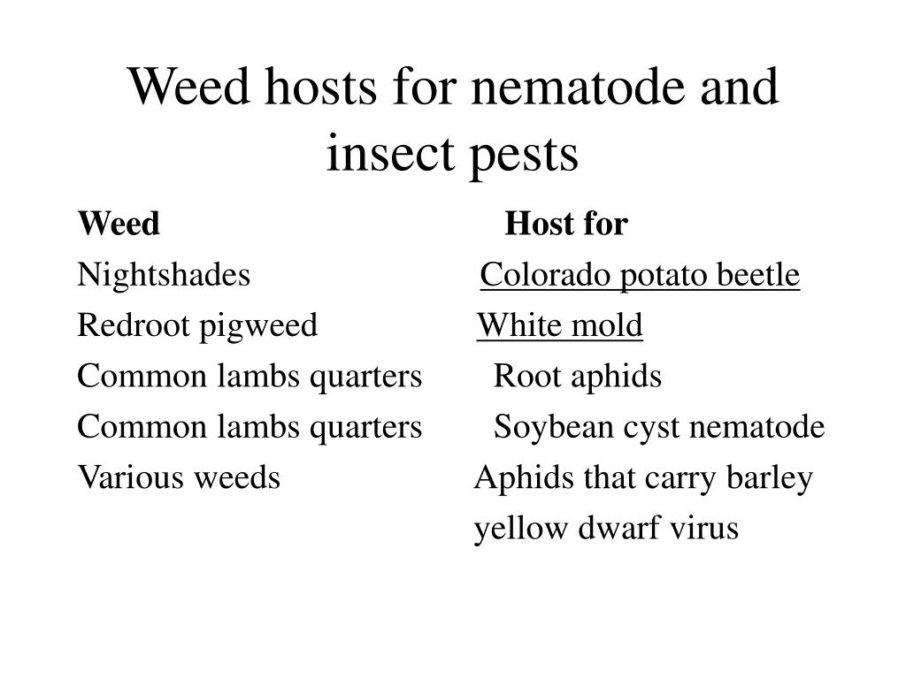 PPT - Weeds Identification Topic 2044 PowerPoint Presentation