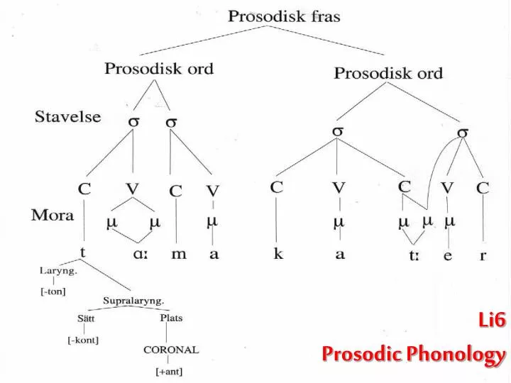Prosodic Phonology