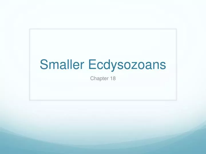 smaller ecdysozoans n.