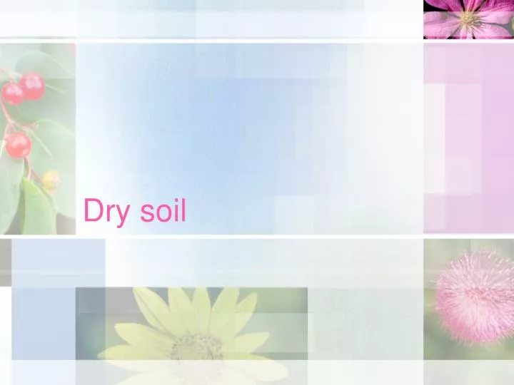 dry soil n.