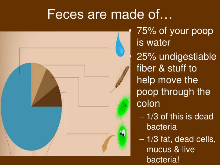 ppt-poo-facts-powerpoint-presentation-id-1155217