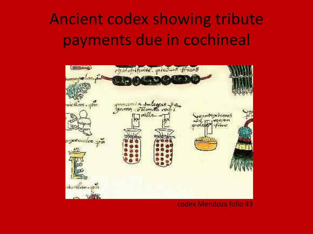 PPT - Cochineal Red Gold of The Mixtec PowerPoint Presentation