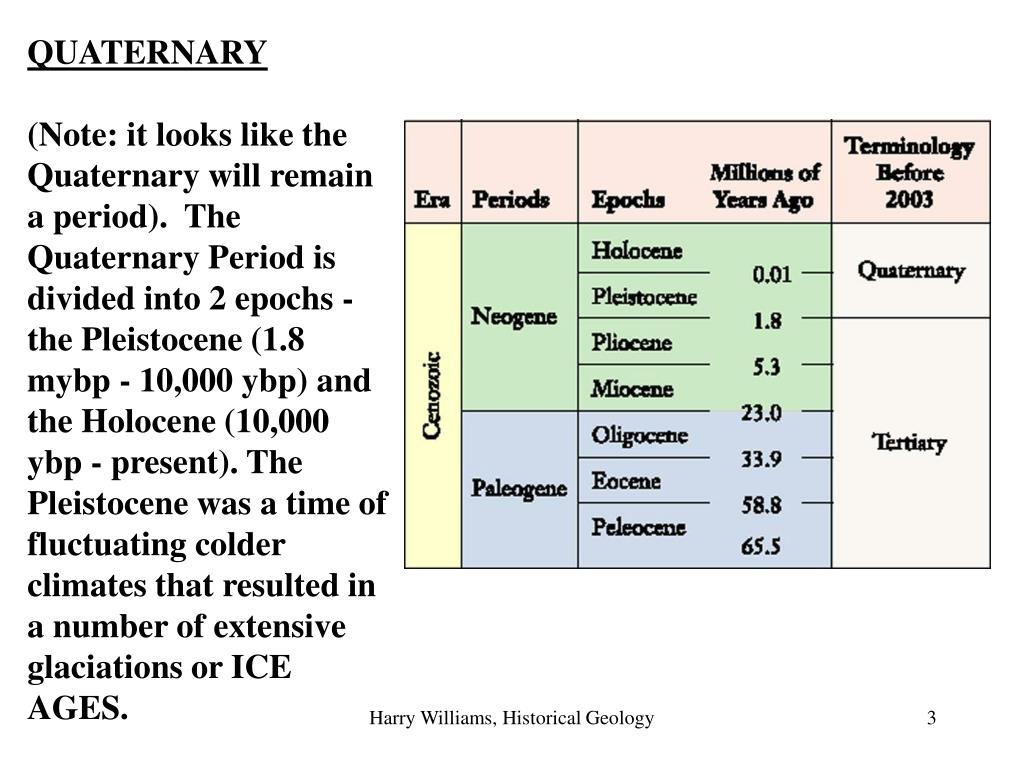 PPT - Late Cenozoic. QUATERNARY PERIOD Last 1.8 million years ...