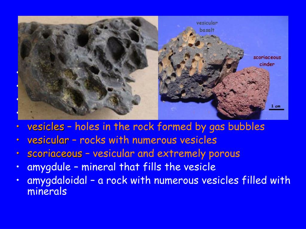 Coral found on Images from the Mars Perseverance Rover Volcanic-rock-terms3-l